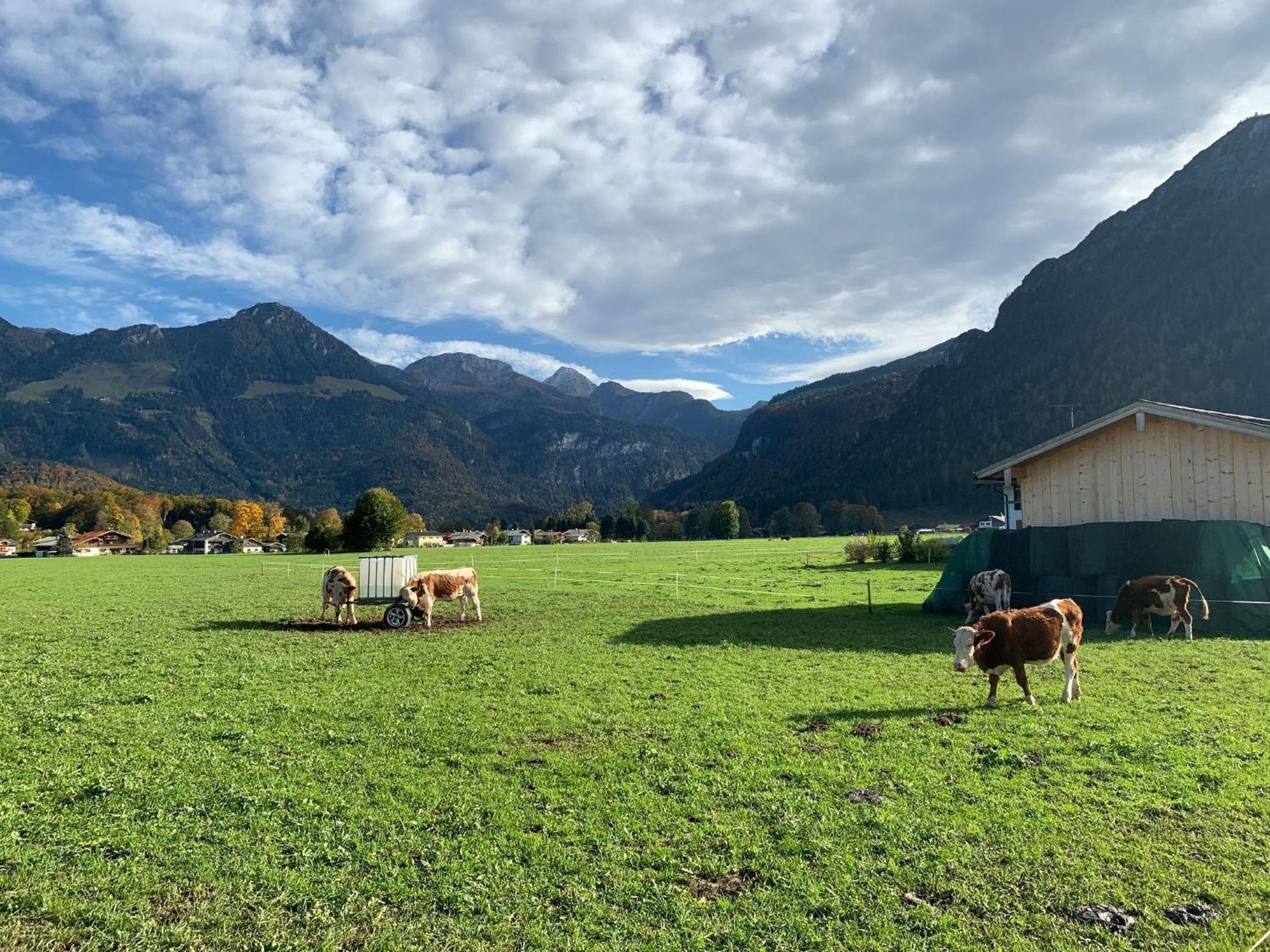 Ferienwohnung Hochkalterblick Schönau am Königssee エクステリア 写真